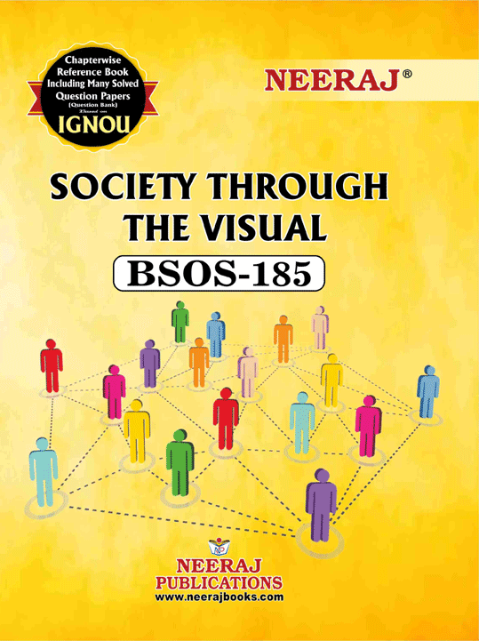Society Through The Visual